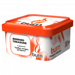 Табак Burn - Berried Treasure (Ягодный Микс, 200 грамм)